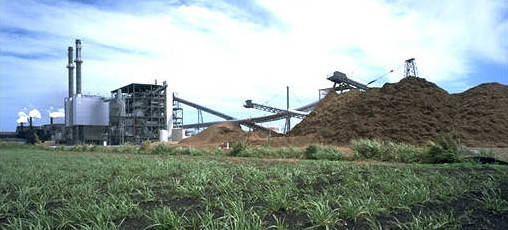 Biomass power plant